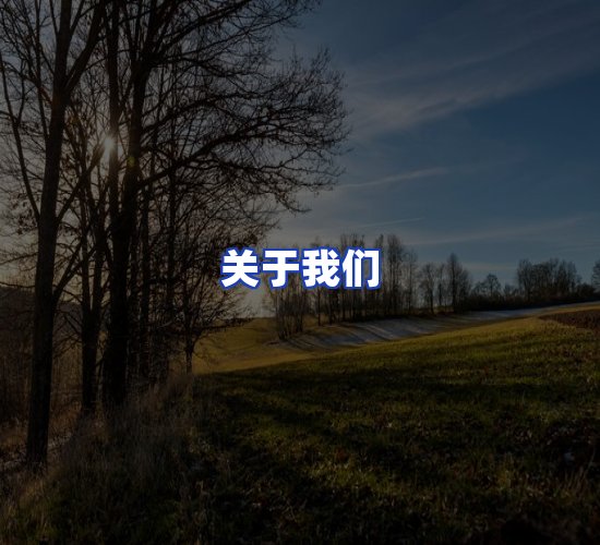 公司总部